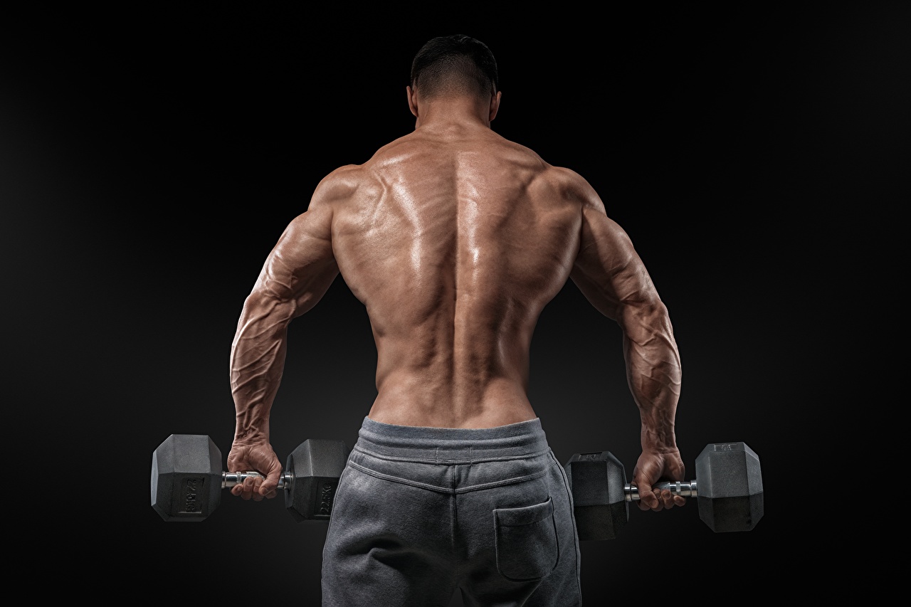Картинка Мужчины мускулы спины Спорт Гантели Бодибилдинг на черном