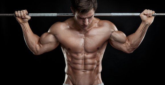 Building Muscles: How Much Muscle Can One Really Gain? / Fitness / Strength Training