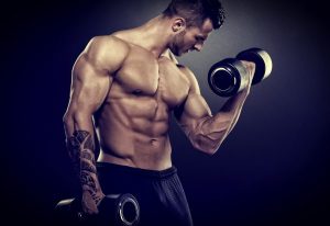 Обои muscle, bodybuilder, спорт, мышцы, Бодибилдинг, гантели, мужчина, пресс для рабочего стола - раздел Мужчины